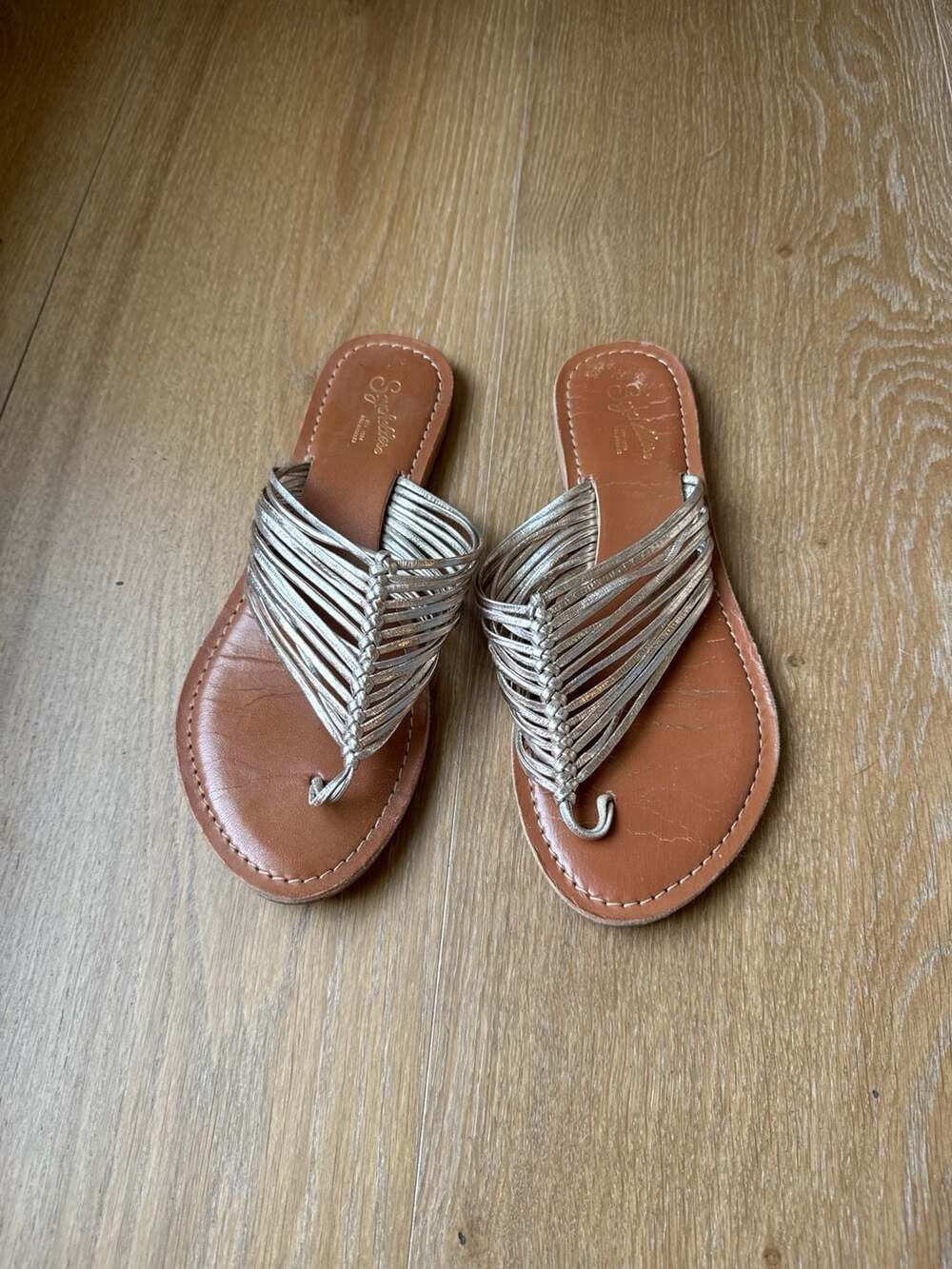 Seychelles Bright Eyed Strappy Flat Sandal in Metallic Gold